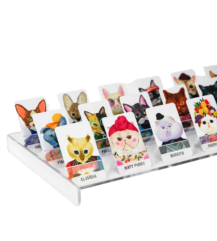 Journey Of Something Board Game Guess the Feline